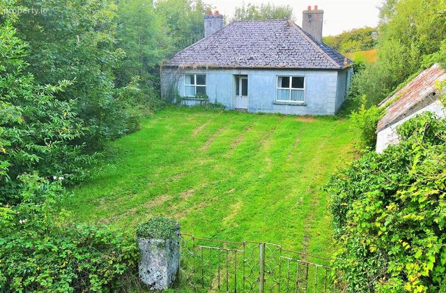 Briarfield, Lisacul, Castlerea, Co. Roscommon, Lisacul, Co. Roscommon - Click to view photos
