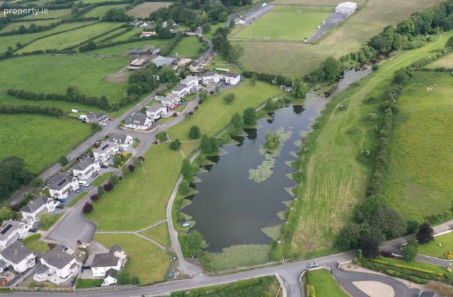 Gill's Pond, Ballinakill, Co. Laois - Click to view photos
