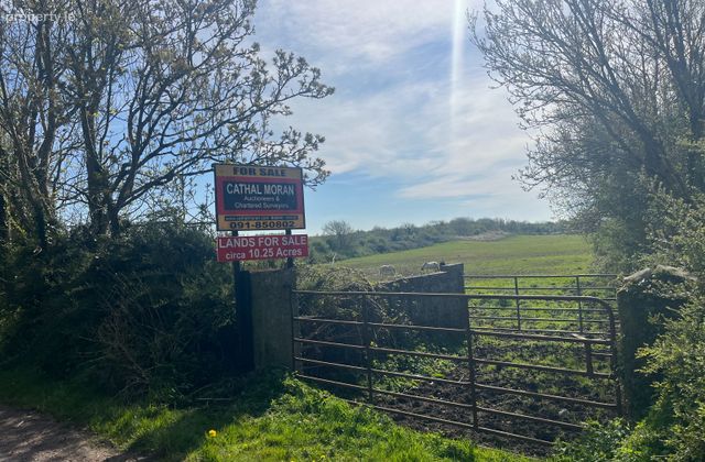 Pollnabanny , Co. Galway, Athenry, Co. Galway - Click to view photos