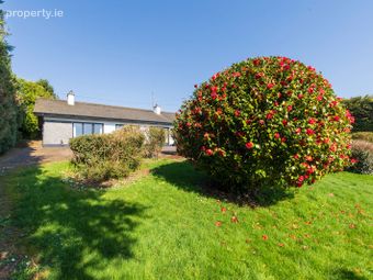 Carrigogna, Midleton, Co. Cork - Image 5