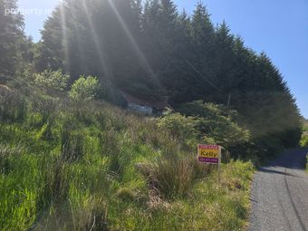 Glen, Arigna, Co. Roscommon - Image 4