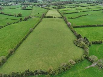Charlville, Borris-in-Ossory, Co. Laois - Image 5