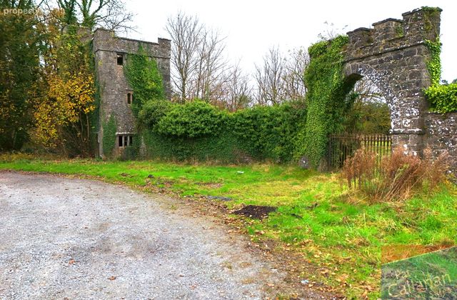 Woodlawn, New Inn, Ballinasloe, Co. Galway - Click to view photos