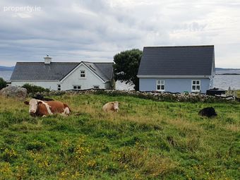 Turbot Island, Clifden, Co. Galway - Image 3