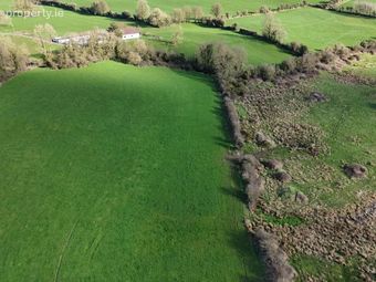Lands Ballyneill, Donohill, Co. Tipperary - Image 4
