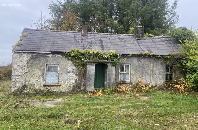 Larkfield, Granard, Co. Longford - Click to view photos