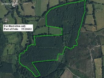 C.53 Acres Forrest, Rearoe, Clogheen Near, Mitchelstown, Co. Cork - Image 2