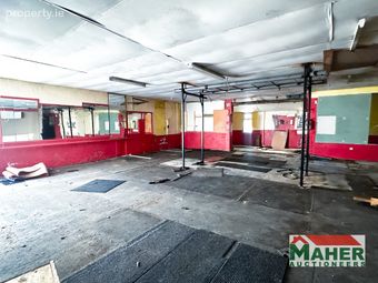 Boheravroroon, Thurles, Co. Tipperary - Image 4