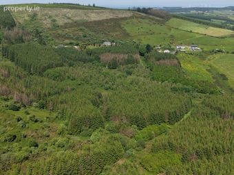Ballyine, Carrigkerry, Athea, Co. Limerick, Athea, Co. Limerick - Image 3