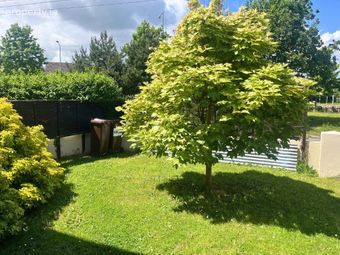 6 Grange Grove, Blackrock, Co. Dublin - Image 2