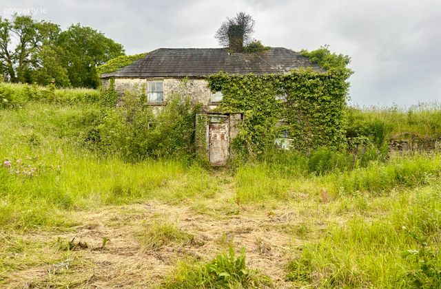 Farrow, Bunbrosna, Co. Westmeath - Click to view photos