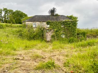 Farrow, Bunbrosna, Co. Westmeath