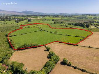 Circa 40 Acres, Touraneena, Ballinamult, Co. Waterford - Image 4