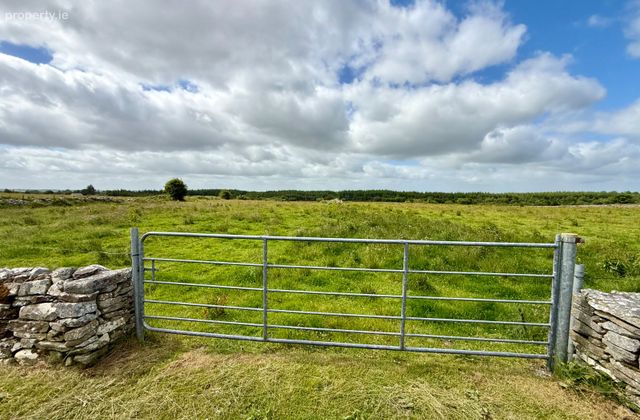 Quinaltagh, Garrafrauns, Tuam, Dunmore, Co. Galway - Click to view photos