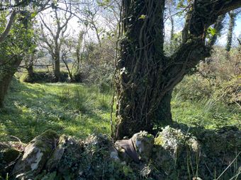Ref 886 - Lands Containing Old Ruin, Killagurteen, Waterville, Co. Kerry - Image 5