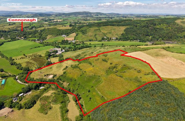 Barleyhill West, Rosscarbery, Co. Cork - Click to view photos
