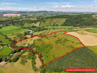 Barleyhill West, Rosscarbery, Co. Cork
