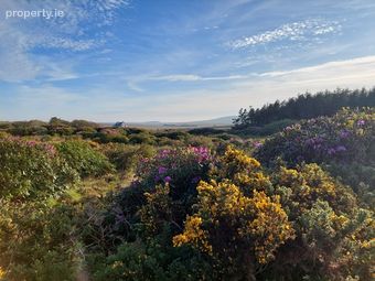 Ballinsally Road, Achill, Co. Mayo - Image 3