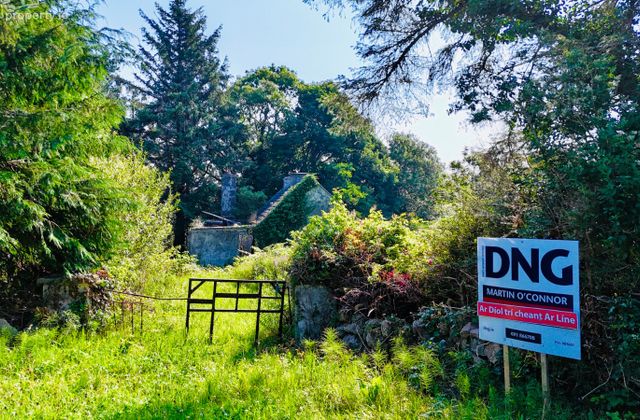 Turlough, Rosmuc, Co Galway, Rosmuc, Co. Galway - Click to view photos