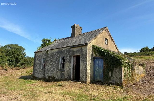 Ballinaspick, Lismore, Co. Waterford, Ballinaspick, Co. Waterford - Click to view photos