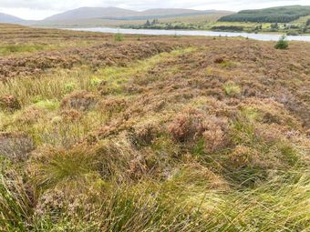 Croaghonagh, Ballybofey, Co. Donegal - Image 5