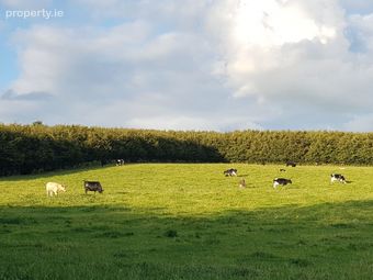 The Hamlet Of Newtown, Moone, Co. Kildare - Image 4