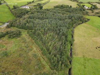 Forestry At Rosduff, Aughnacliffe, Co. Longford