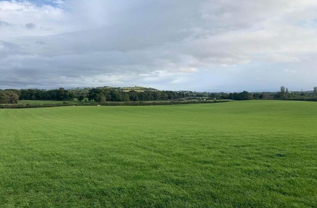 17 Acres, Of New Grass For 1st Cut Cut, Urra, Ballycommon, Co. Tipperary, Ballycommon, Co. Tipperary - Click to view photos