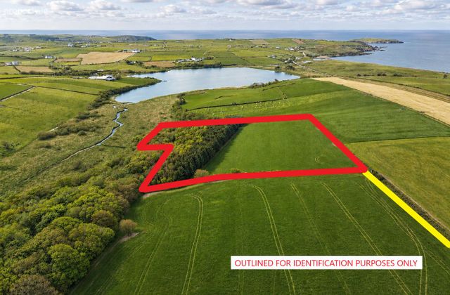 Castlefreke Island, Castlefreke, Co. Cork - Click to view photos