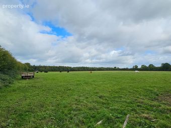 Ballygarrett, Clonbullogue, Co. Offaly - Image 3