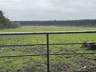 Ballymahon Ed , Ballymahon Municipal District , Co. Longford., Moydow, Co. Longford