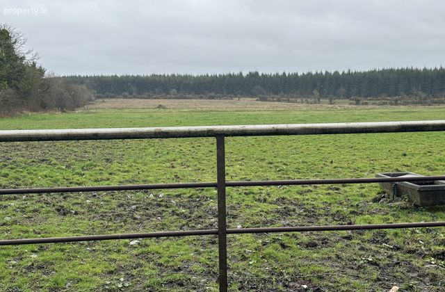 Ballymahon Ed , Ballymahon Municipal District , Co. Longford., Moydow, Co. Longford - Click to view photos