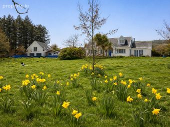 Killaveenogue, Drinagh, Drinagh, Co. Cork - Image 4