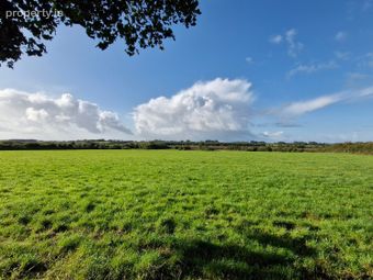 46 Acres Of Land In Knocknagur, Tuam, Co. Galway, Mullagh, Co. Galway - Image 4