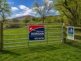 C.53 Acres Forrest, Rearoe, Clogheen, Co. Tipperary