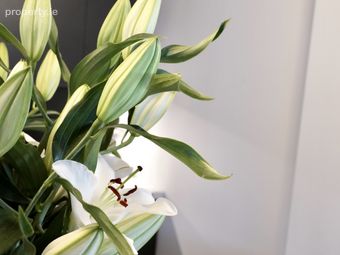 Penthouse Suite, 7/8 Harcourt Street, Dublin 2 - Image 5