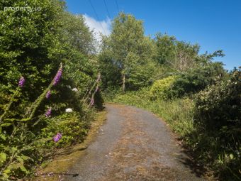 Faha East, Adrigole, Adrigole, Co. Cork - Image 5