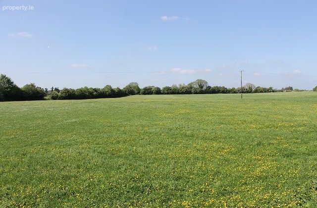 Castletown, Moyne, Co. Tipperary - Click to view photos