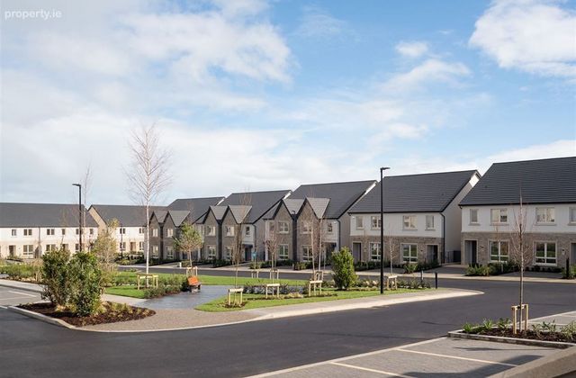 Hawkins Wood, Greystones, Co. Wicklow - Click to view photos