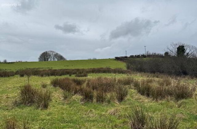 Toneneave, Maghercloone, Carrickmacross, Co. Monaghan, Carrickmacross, Co. Monaghan - Click to view photos