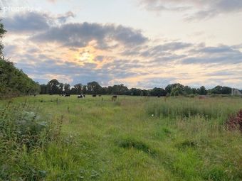Faddan, Carrig, Birr, Co. Offaly