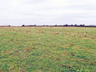 Jimmy's Field, Rearahinagh, Drimoleague, Co. Cork - Image 4