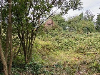 Brough, Doneraile, Co. Cork - Image 5