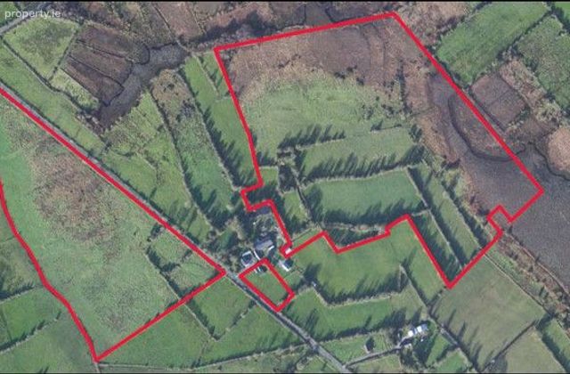 Derrygeel, Lanesborough, Co. Longford - Click to view photos
