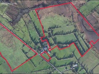 Derrygeel, Lanesborough, Co. Longford