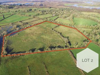 Salmons Lane, Ballyleague, Co. Roscommon - Image 3