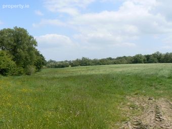 Tiaquin Demesne, Athenry, Co. Galway - Image 4