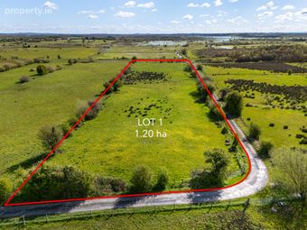 Nure, Cornafulla, Athlone, Co. Roscommon, Drumlosh, Co. Roscommon