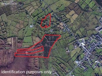Lands At Corrabawn, Drumlish, Co. Longford - Image 3