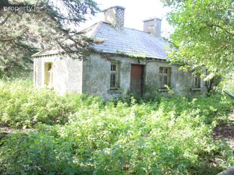 Endrim, Ferbane, Co. Offaly, Ferbane, Co. Offaly - Image 3